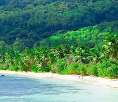 Free-Calendar-Wander-the-offer