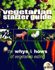 vegetarian starter guide
