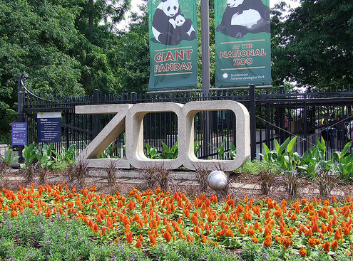 zoo