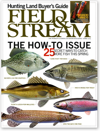 free field and stream