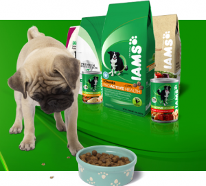 Free-iams-welcome-fit-giveaways-coupons