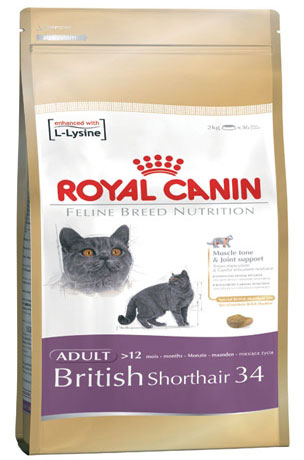 Free Sample Royal Canin Feline Breed Nutrition
